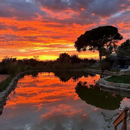 מלון לגואה Oasis Camp Portugal מראה חיצוני תמונה